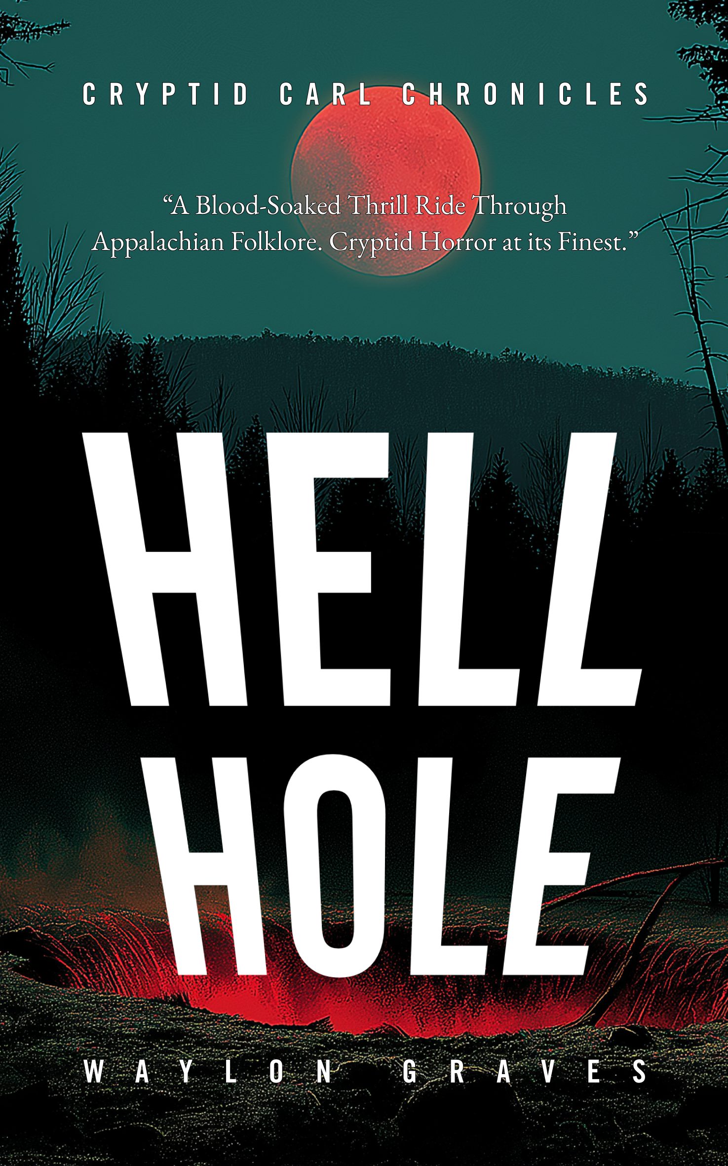 Book cover for Hell Hole